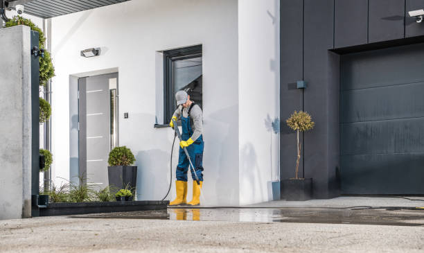 Best Gutter Cleaning  in Buckeystown, MD